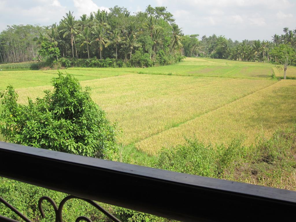 Frangipani Villas Ubud  Ngoại thất bức ảnh