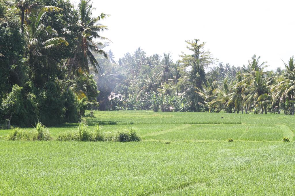 Frangipani Villas Ubud  Ngoại thất bức ảnh